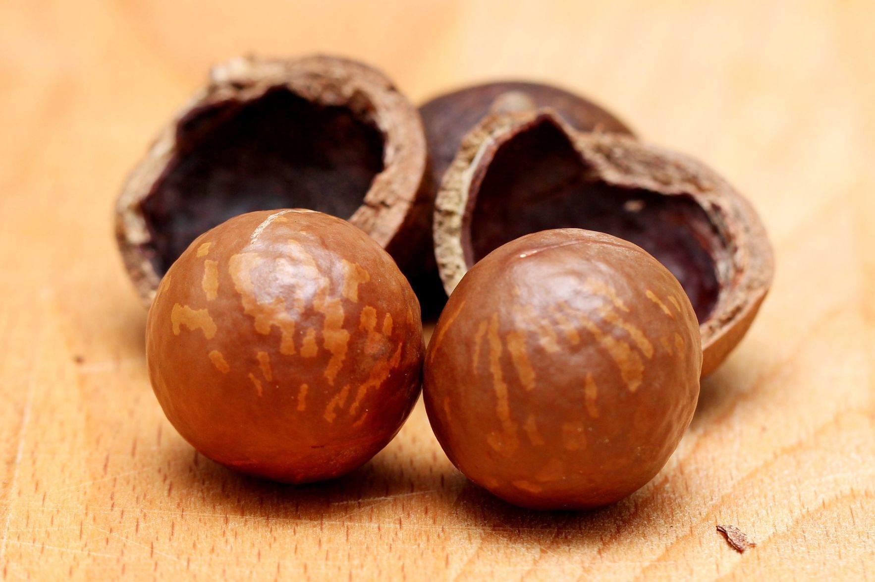 Macadamia nuts